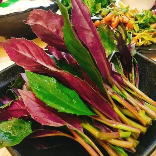 乍一看跟苋菜类似,但味道截然不同