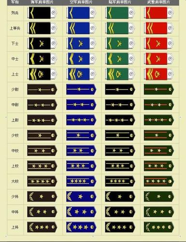 其他好文 各军兵种军衔  中国各军兵种军衔标志   中国人民解放军军