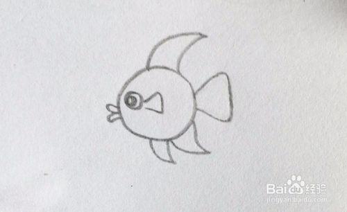 简笔画:怎么画小鱼?