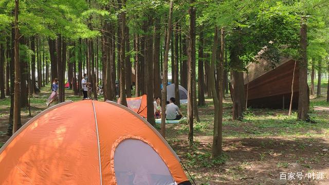 上海,周末浦江郊野森林公园一角,帐篷中的每一个小团体