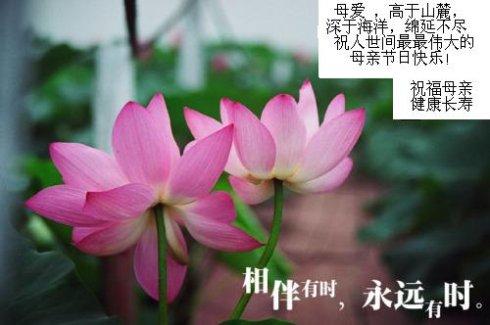 祝人世间最最伟大的母亲节日快乐!