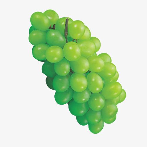 绿色葡萄