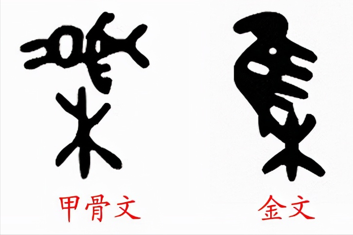甲骨文和金文原来差异性这么大?