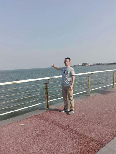 天津东疆港区观大海