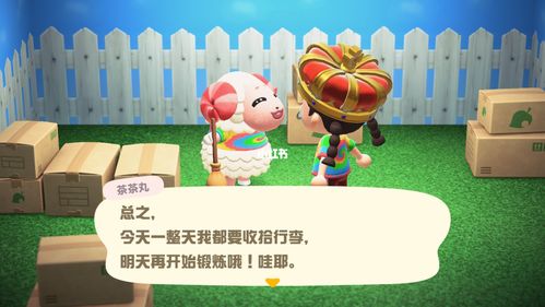 79动森7937票刷出茶茶丸