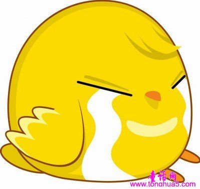 爱哭的小鸡
