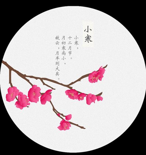 小三班二十四节气之"小寒"主题活动