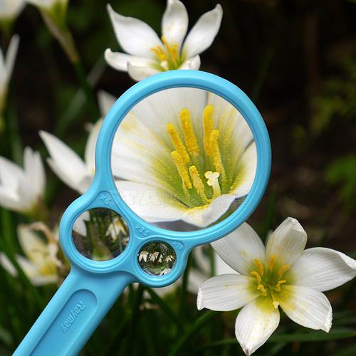 放大镜日本 限时特卖