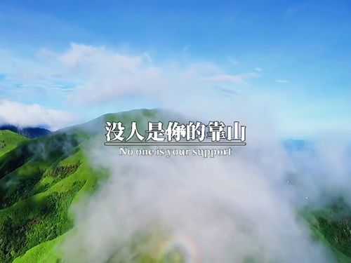世界上没有人会可怜你,没人是你的靠山,好好强大自己