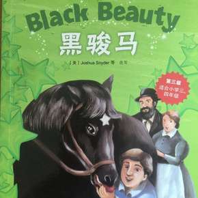 翟文超英文专辑黑骏马