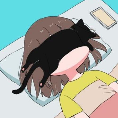 有没有什么看起来很困的头像?