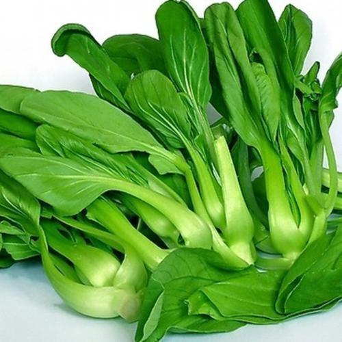 很少人知道6种的蔬菜挑选窍门学会了就能买到新鲜蔬菜