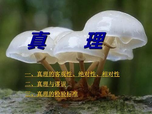 真理与价值 (1)ppt