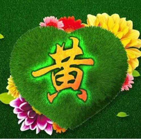 有丛林字的微信头像