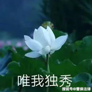 我妈和我男票的妈都叫 在水一方 头像都是一朵花