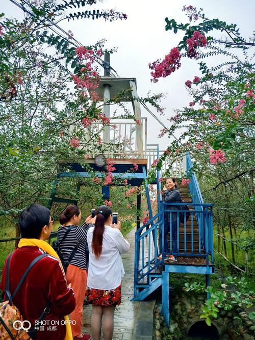 幸福像花儿一样,二零一八年九月九日崇州廖家镇一日游
