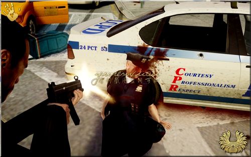 gta4警察有几种?