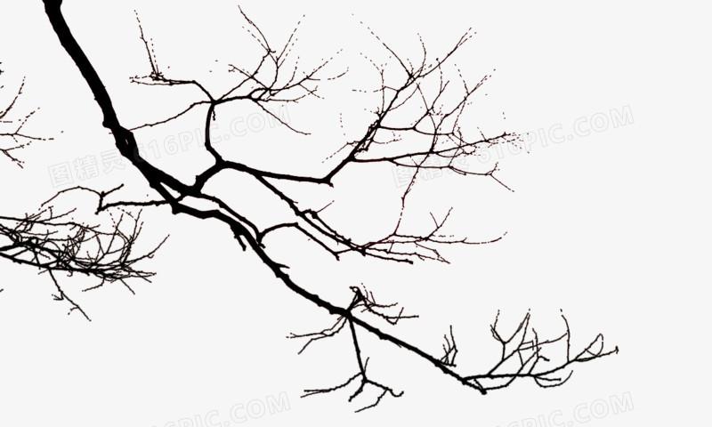 枯树枝