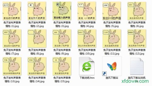 兔子发出还行的声音表情包原图