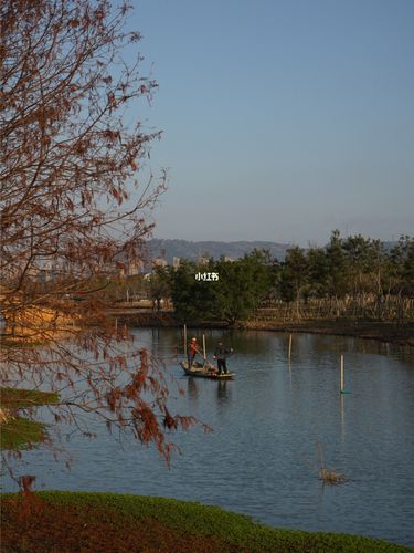 暖冬|三垟湿地红杉林_出行_出行攻略