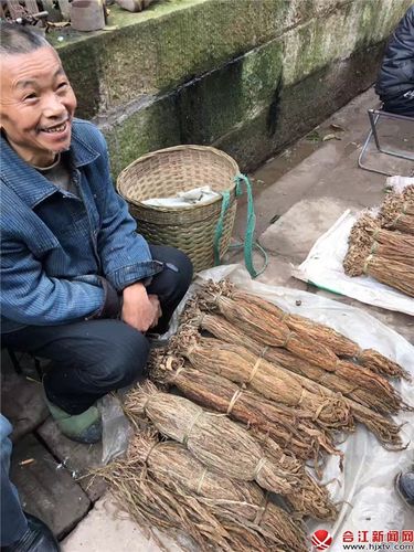 合江小场上的叶子烟