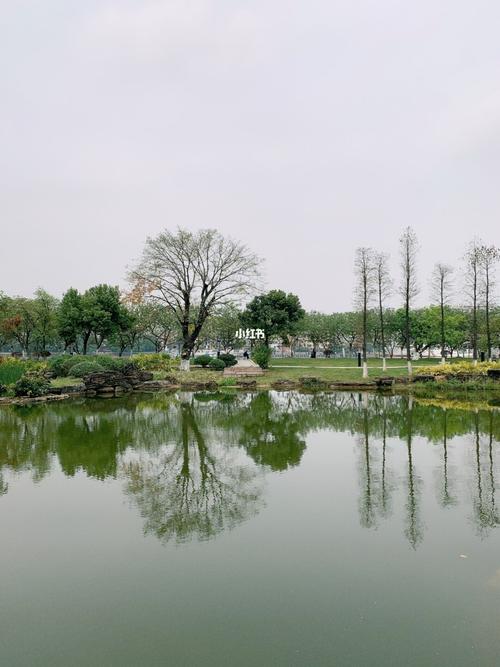 广州生物岛_春天去哪玩_出行_出行其他