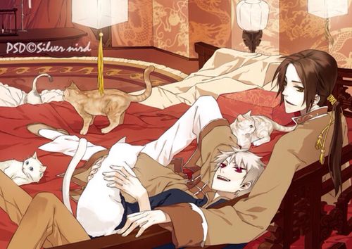 小鸟面包组 王耀 基尔伯特