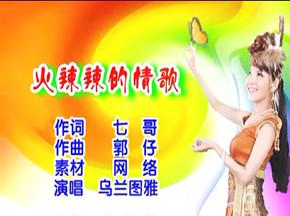 火辣辣的情歌