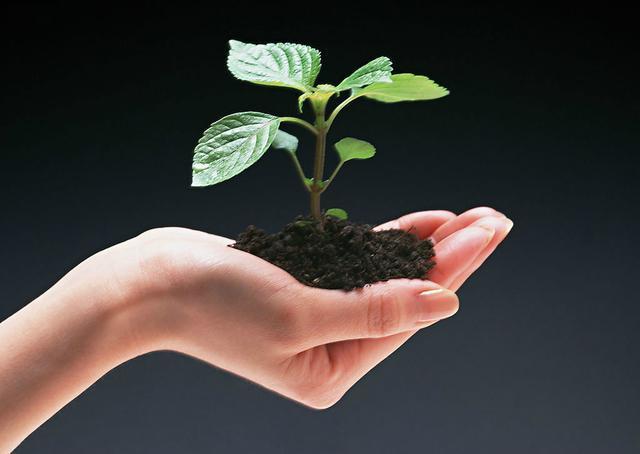 你知道生命智慧十大箴言吗?