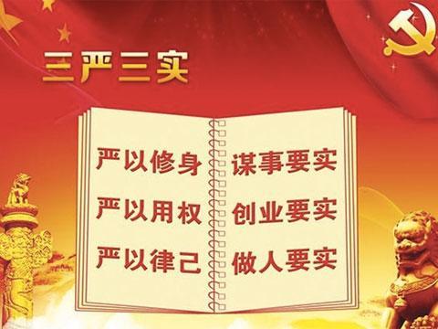 三严三实 医保三严三实