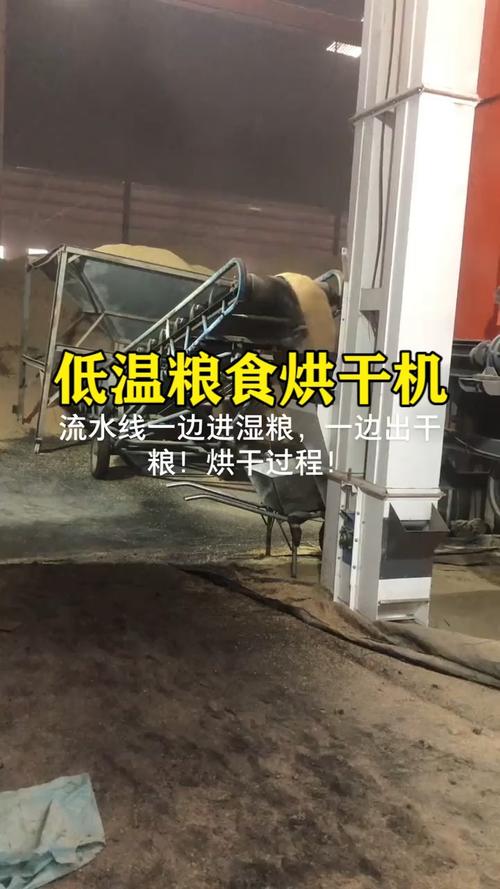 我要上热门流水线低温粮食烘干机