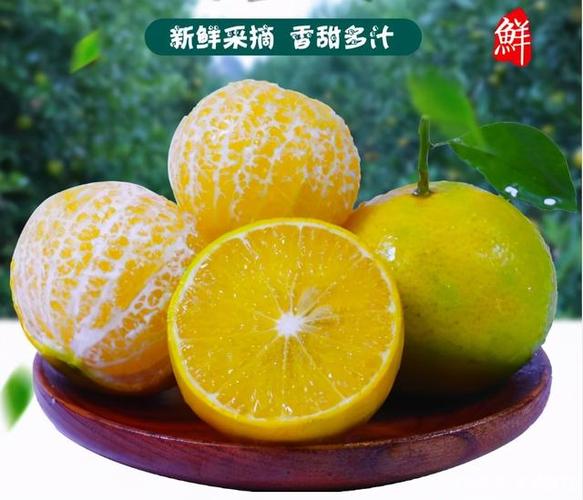 新鲜皇帝柑,肉质饱满,肉嫩多汁