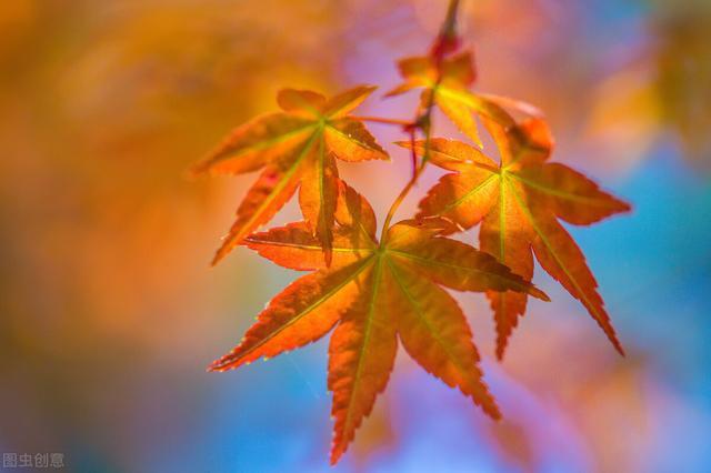 借钱见人心还钱见人品赚钱见人性