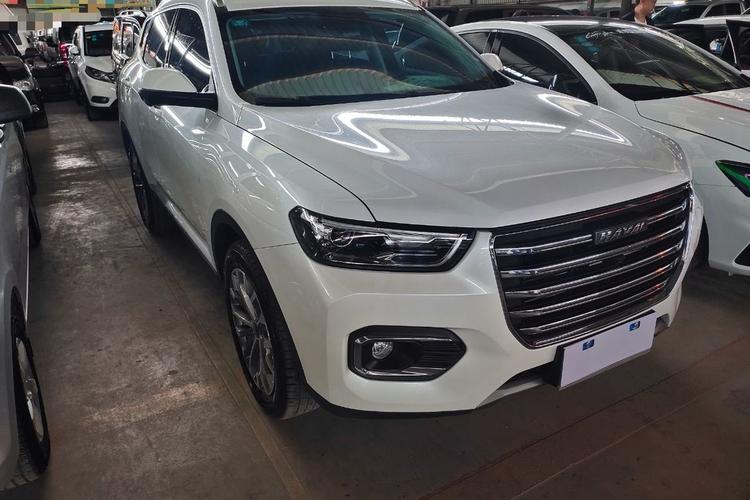 0gdit 自动铂金冠军版