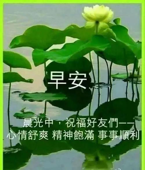 秋天超漂亮早上好温馨问候美图 早安心语唯美句子
