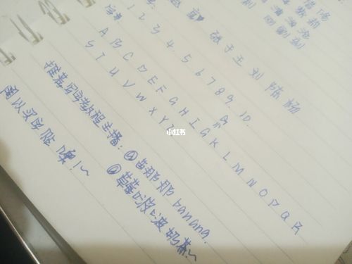 奶酪字体教程