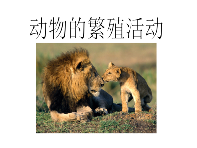 7动物的繁殖活动.ppt