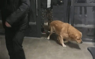 原创火锅:我怎么就管不住我这手呢?