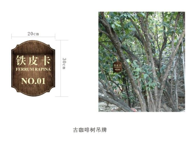 走进朱苦拉