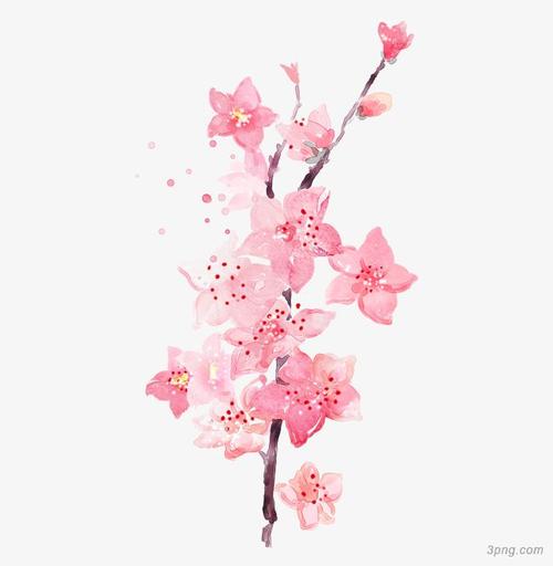 水彩桃花png素材透明免抠图片装饰效果
