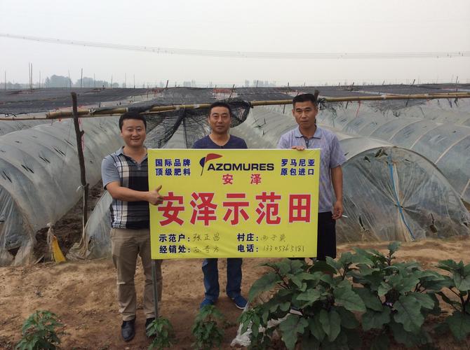 进口滴灌复合肥安泽安得系列