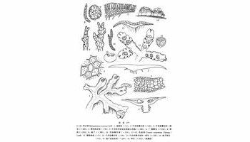 花地钱