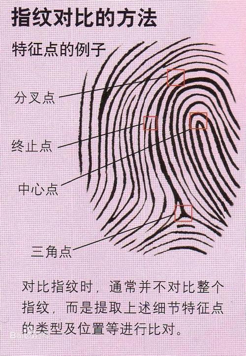 "斗"和"簸箕"是如何形成的?