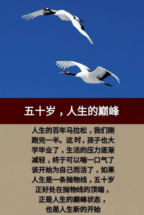 人生40能力50经历60财力70病历80黄历值得收藏