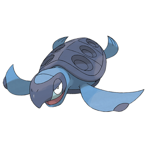 564原盖海龟水岩石