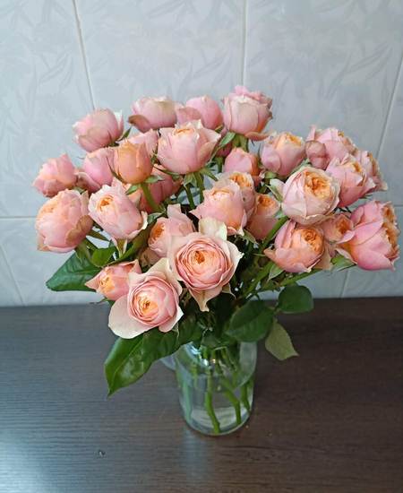 粉蝴蝶玫瑰图片