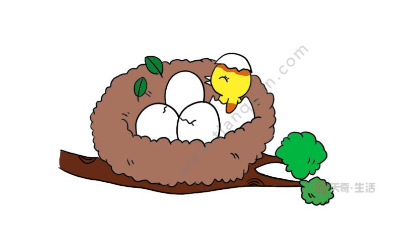 鸟窝简笔画 鸟窝怎么画