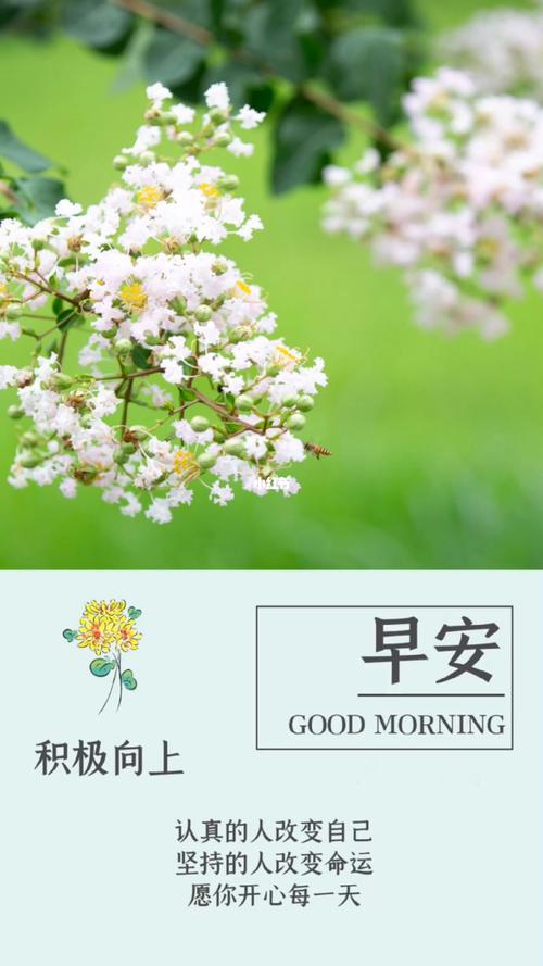 周末早晨751592_早安晨之美