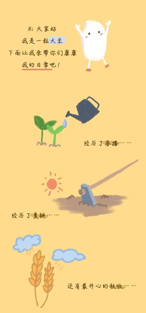 a4210光盘我先行一粒米的故事