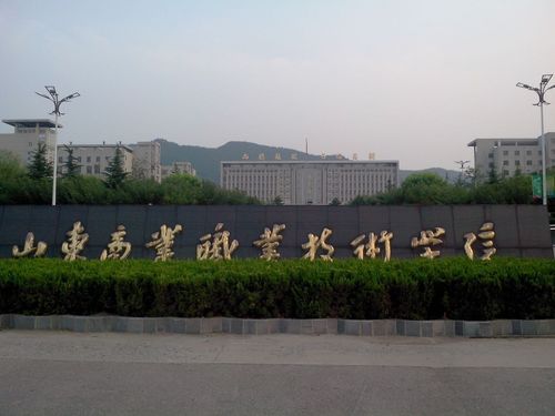 十一,山东商业职业技术学院